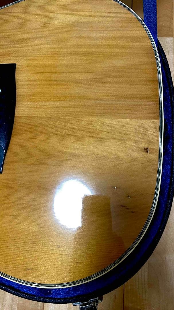 勇*悟様 値下げ希少❣人気種　1973年morris　W-40　ハカランダ！HC