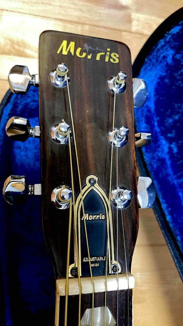 勇*悟様 値下げ希少❣人気種　1973年morris　W-40　ハカランダ！HC