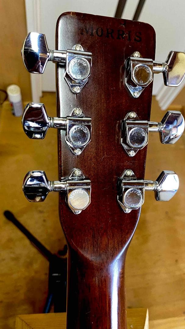 勇*悟様 値下げ希少❣人気種　1973年morris　W-40　ハカランダ！HC