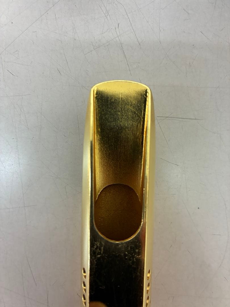 セオワニ　ガイア2 テナーサックス 7☆