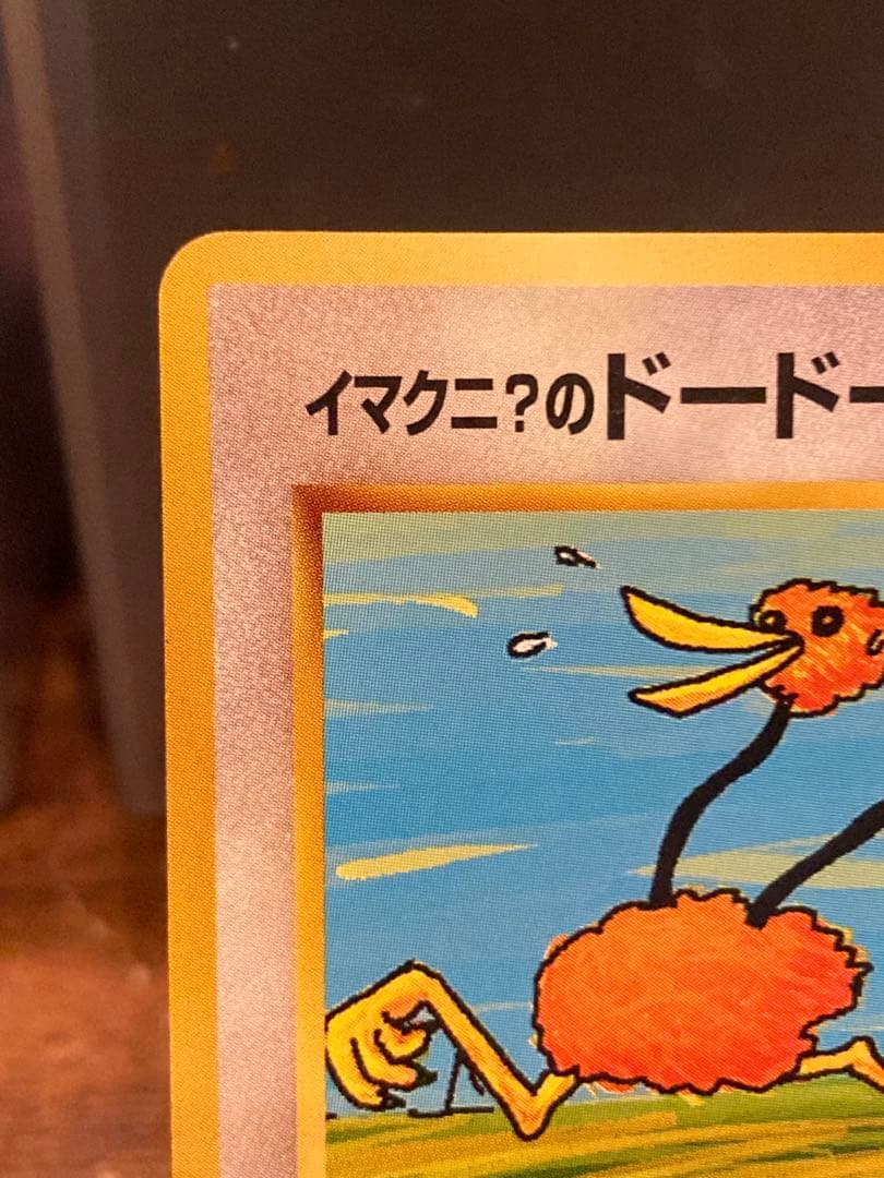良個体 イマクニ？のドードーLv15 旧裏面 プロモ【ポケモンカード】