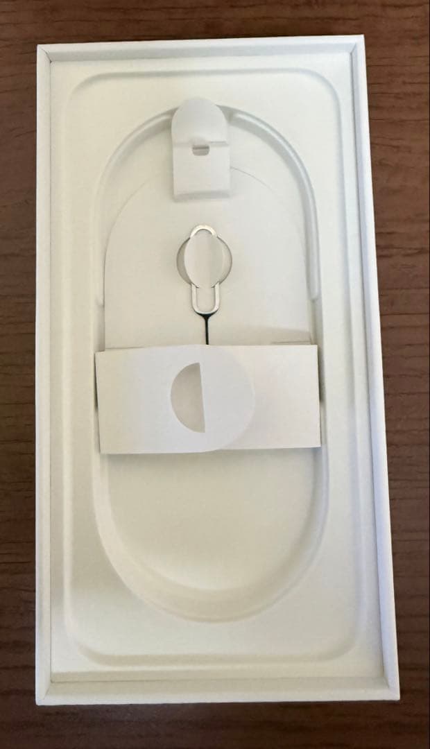 Apple iPhone 16e 本体