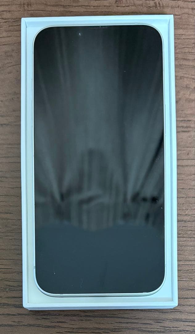 Apple iPhone 16e 本体