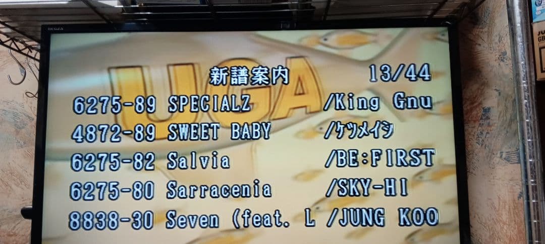 カラオケ機器家庭用JOYSOUND楽宴DⅡ