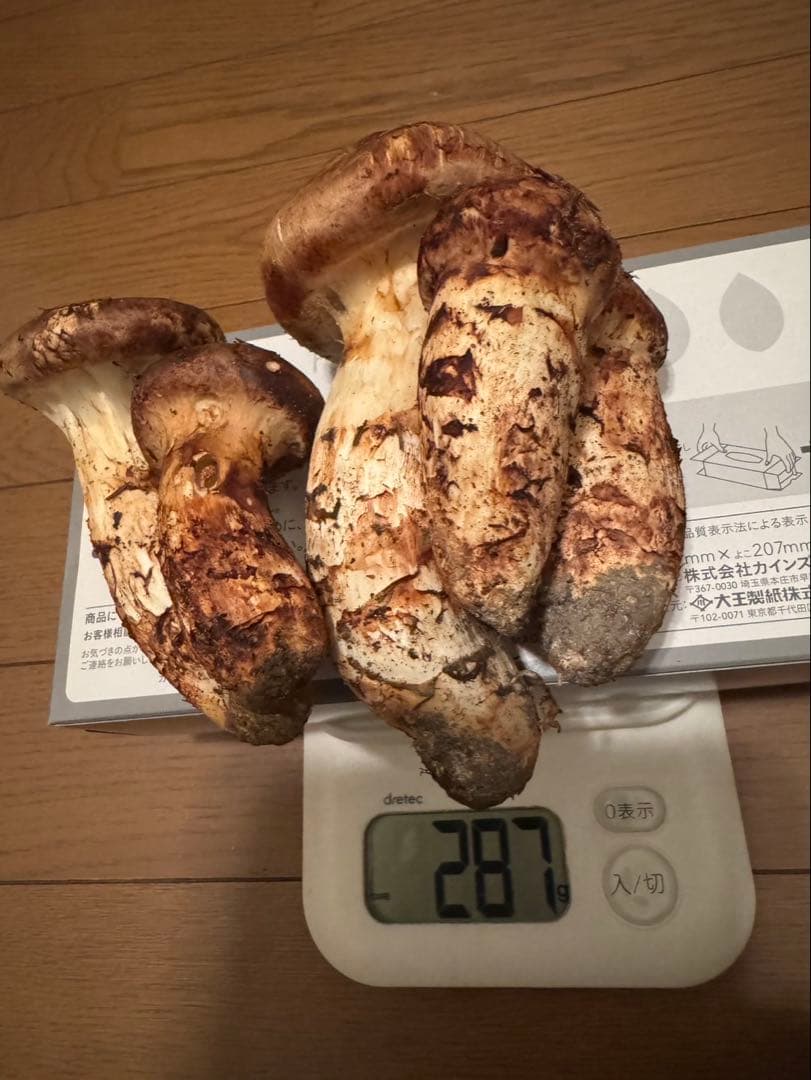 信州産松茸287g