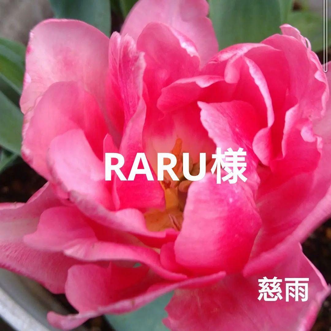 センソユニコ慈雨　 ワンピース　セーラーカラー