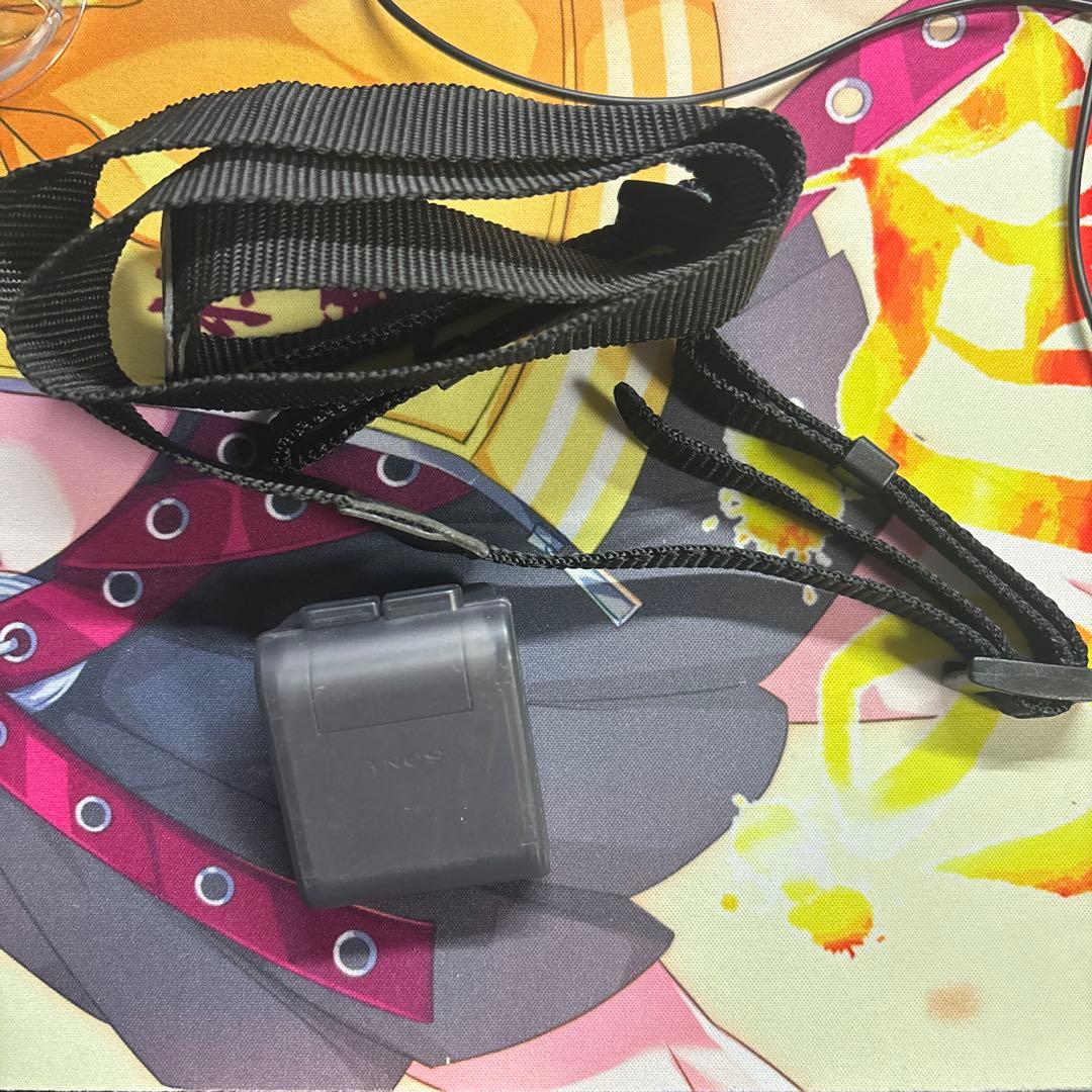 Sony NEX-5 ミラーレス一眼カメラ NEX5 本体