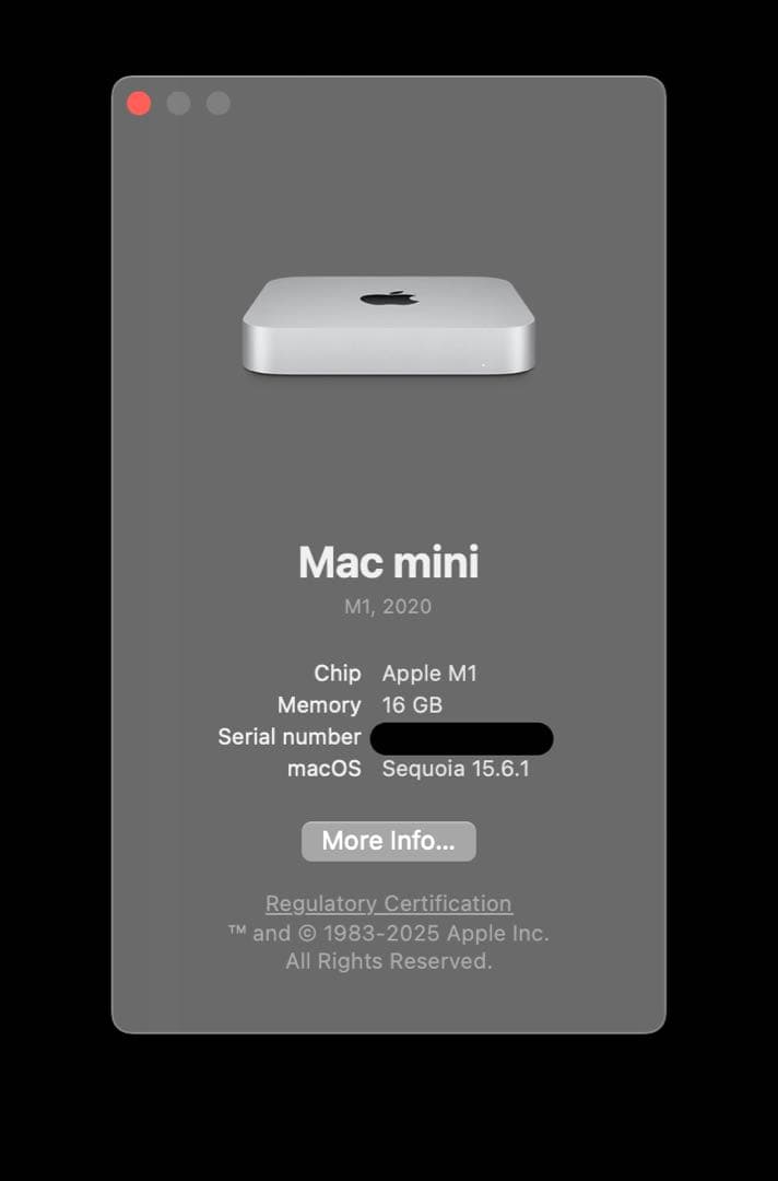 John DoeM1 Mac mini 16GB1TBSatechiセット