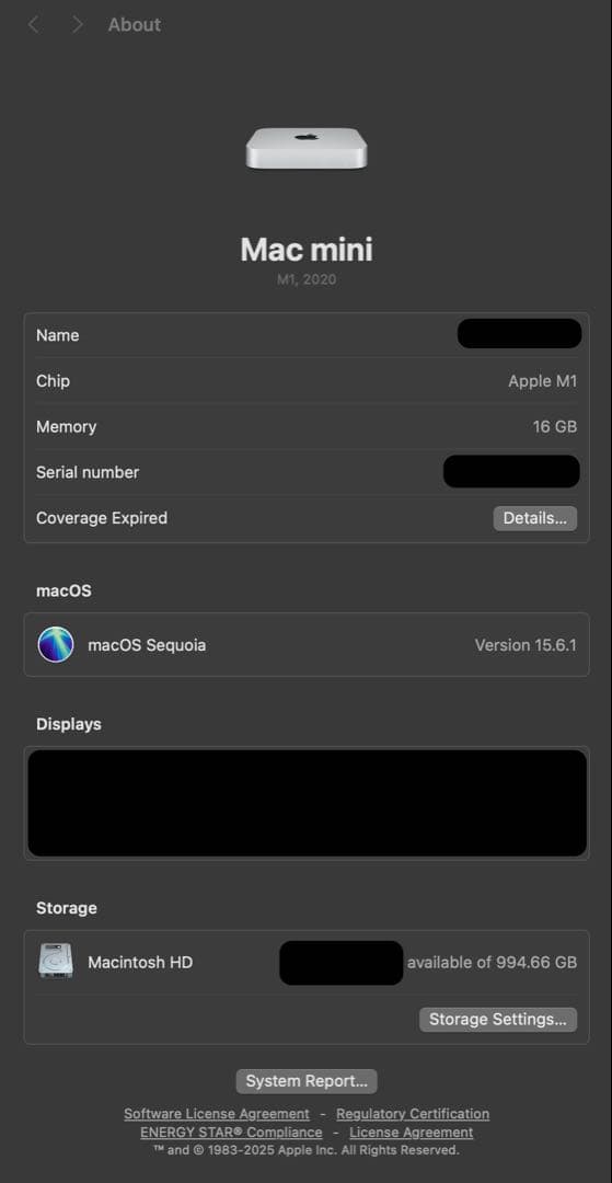 John DoeM1 Mac mini 16GB1TBSatechiセット