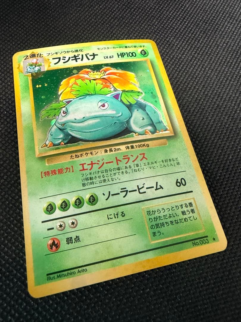 2枚セット 旧裏 カメックス フシギバナ ポケモンカード 初期