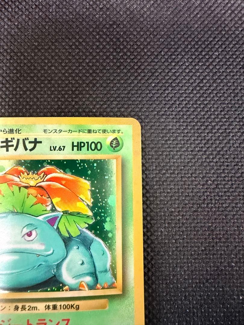 2枚セット 旧裏 カメックス フシギバナ ポケモンカード 初期