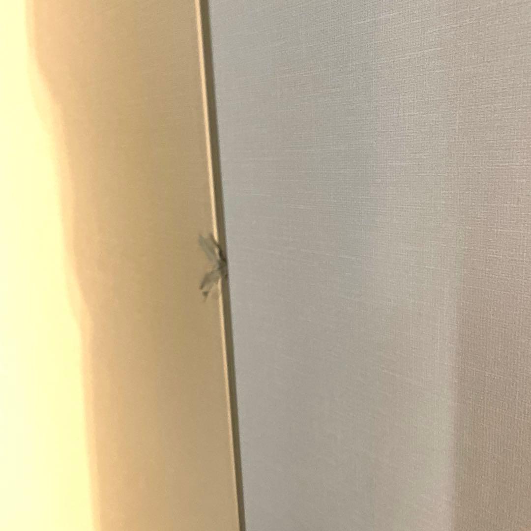 大型ミラー　ダンス用鏡　全身鏡