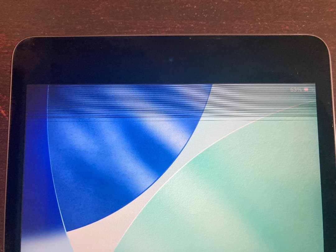 Apple iPad mini 第5世代　スペースグレイ　 ジャンク