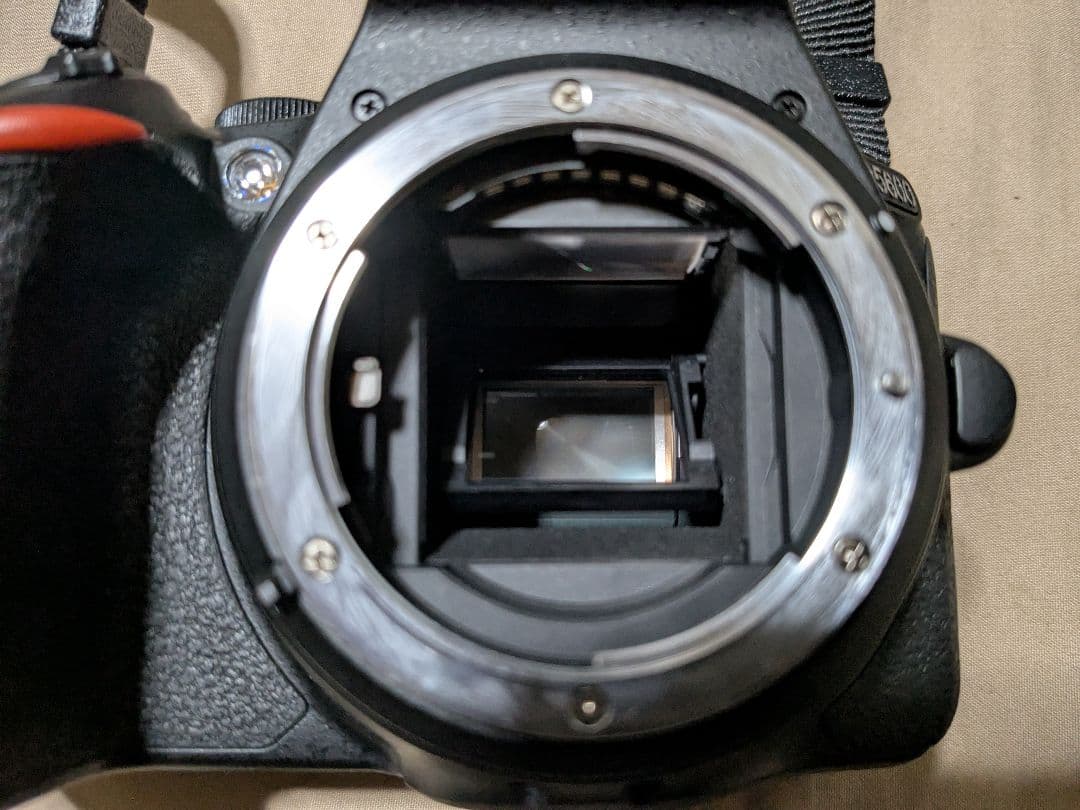 Nikon D5600ダブルズームキット　美品　値段交渉歓迎！