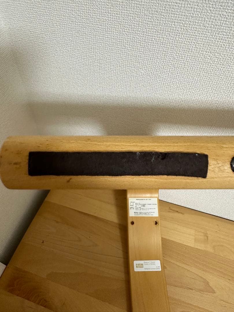 専用 バランスイージー RYBO Balans EASY 姿勢矯正用チェア