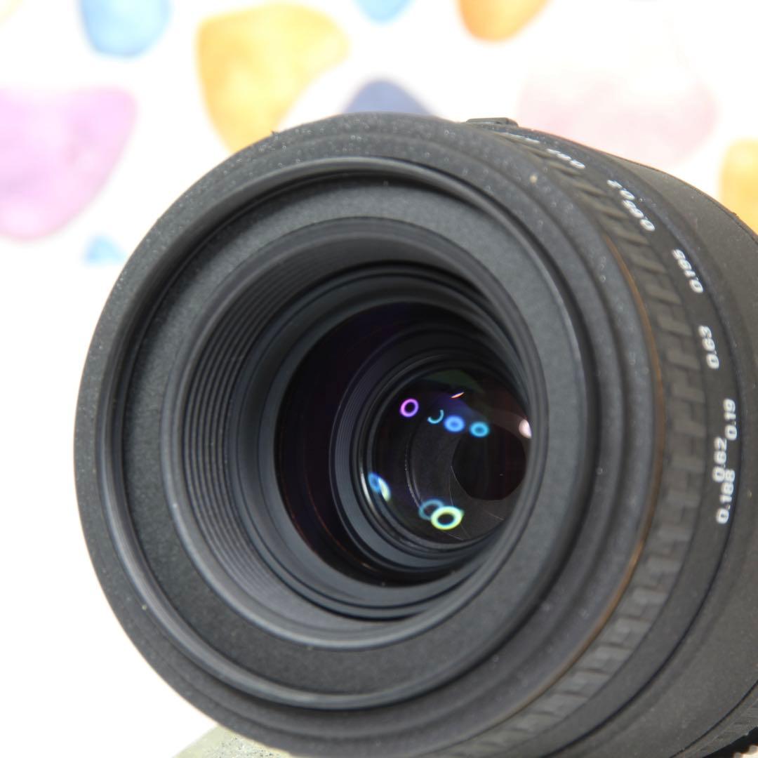 ♥︎◇広角単焦点レンズ ◇SIGMA 50mm F2.8 ◇ソニー