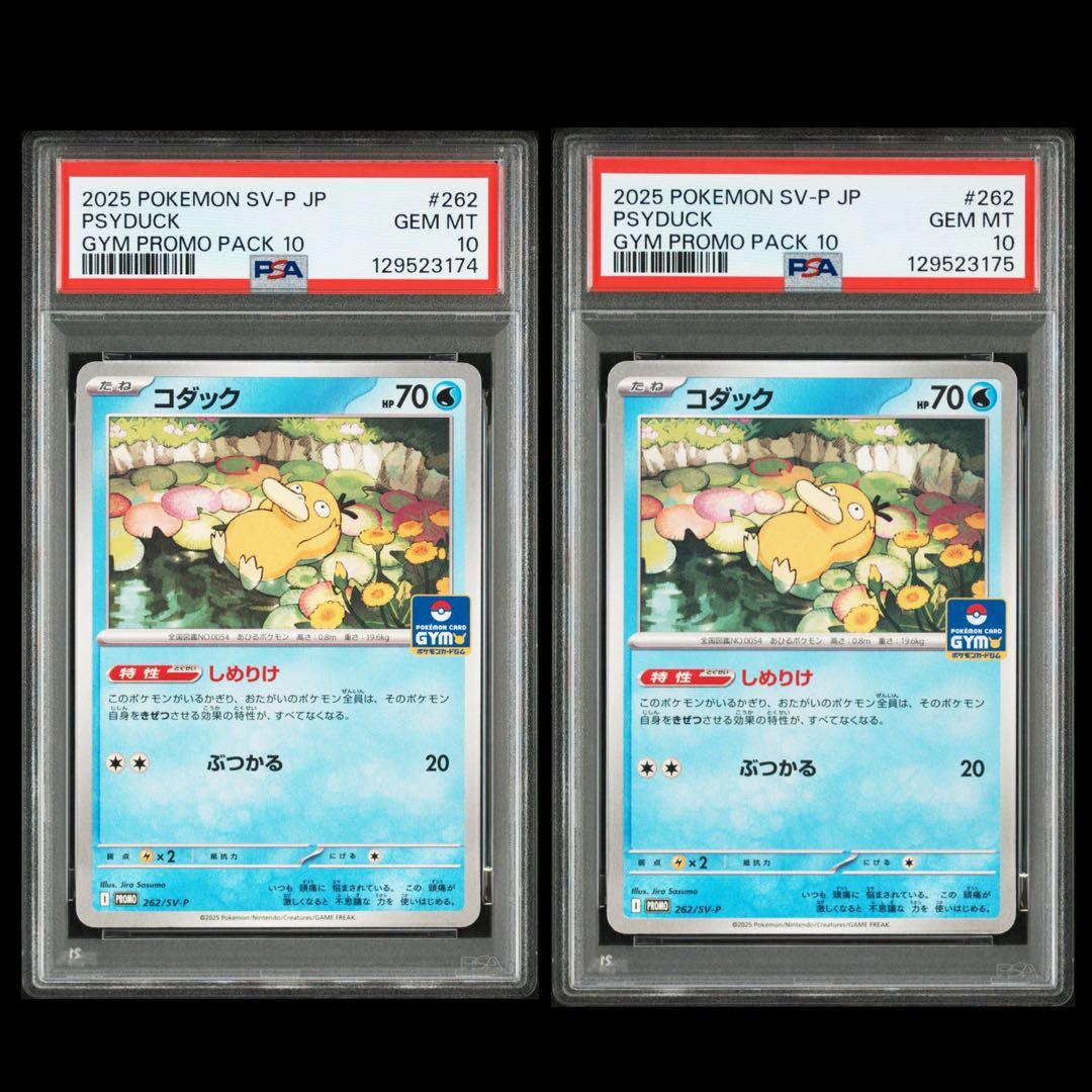 【PSA10】コダック　ジムプロモ　しめりけ 連番