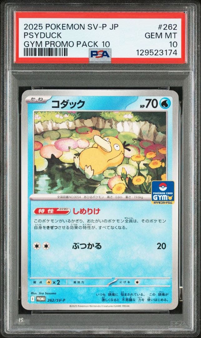 【PSA10】コダック　ジムプロモ　しめりけ 連番
