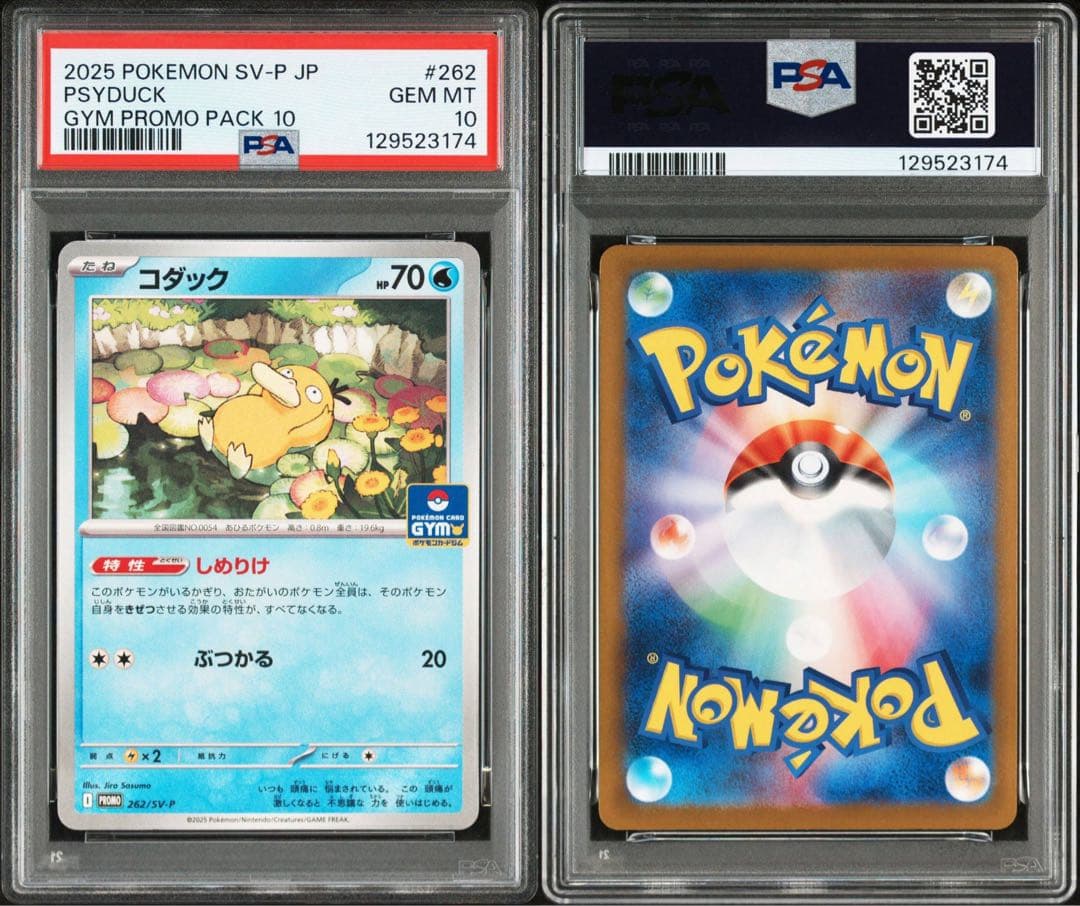 【PSA10】コダック　ジムプロモ　しめりけ 連番