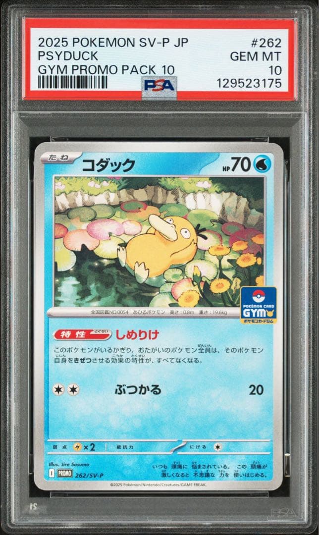 【PSA10】コダック　ジムプロモ　しめりけ 連番