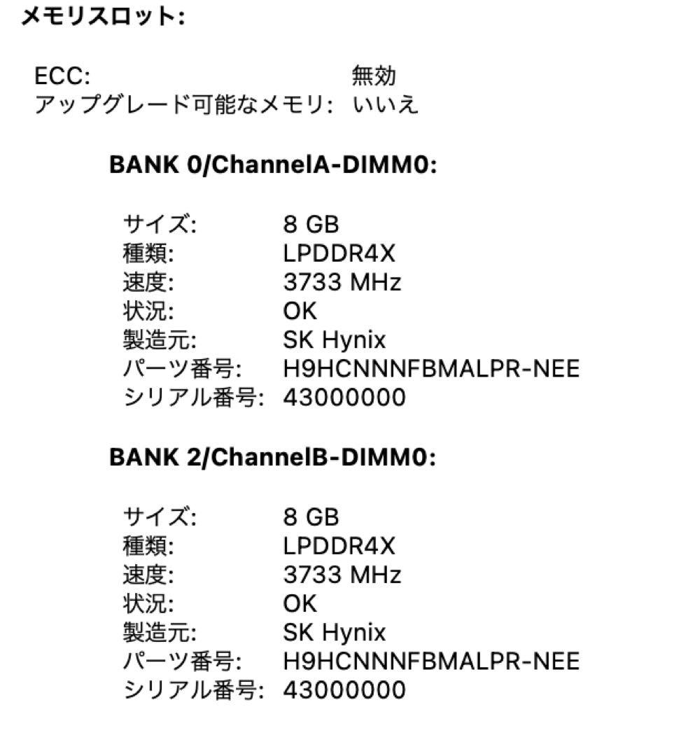ちこさん専用512GB Apple MacBook Air 2020本体
