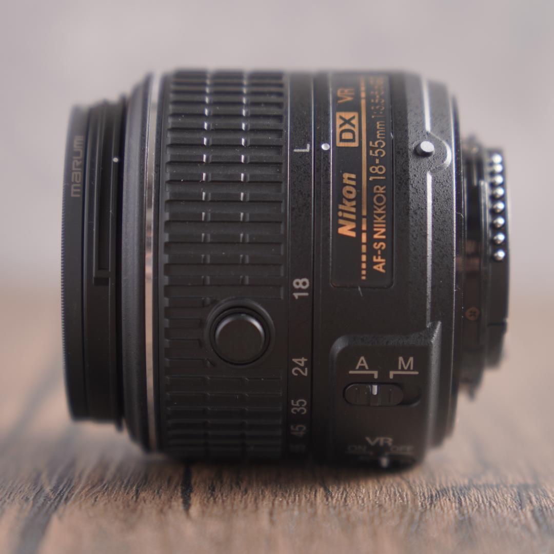 はち　Nikon D5500＋NIKKOR 55-300mm 223-1