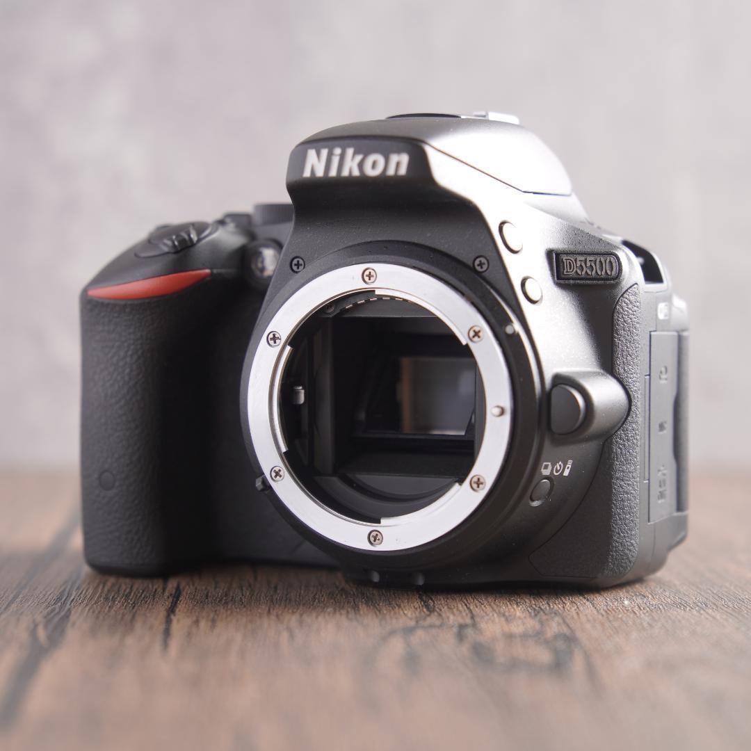 はち　Nikon D5500＋NIKKOR 55-300mm 223-1