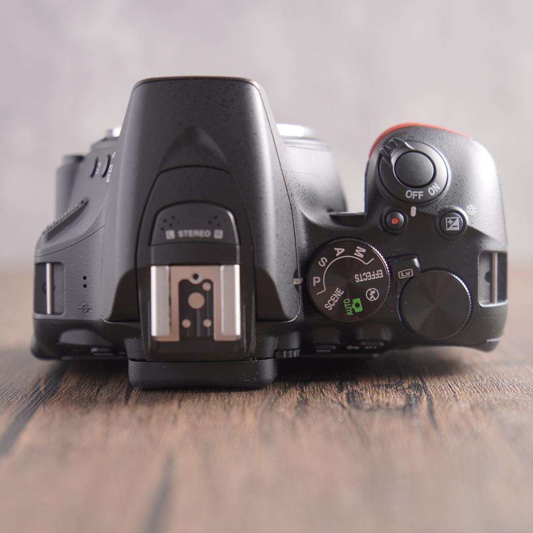 はち　Nikon D5500＋NIKKOR 55-300mm 223-1