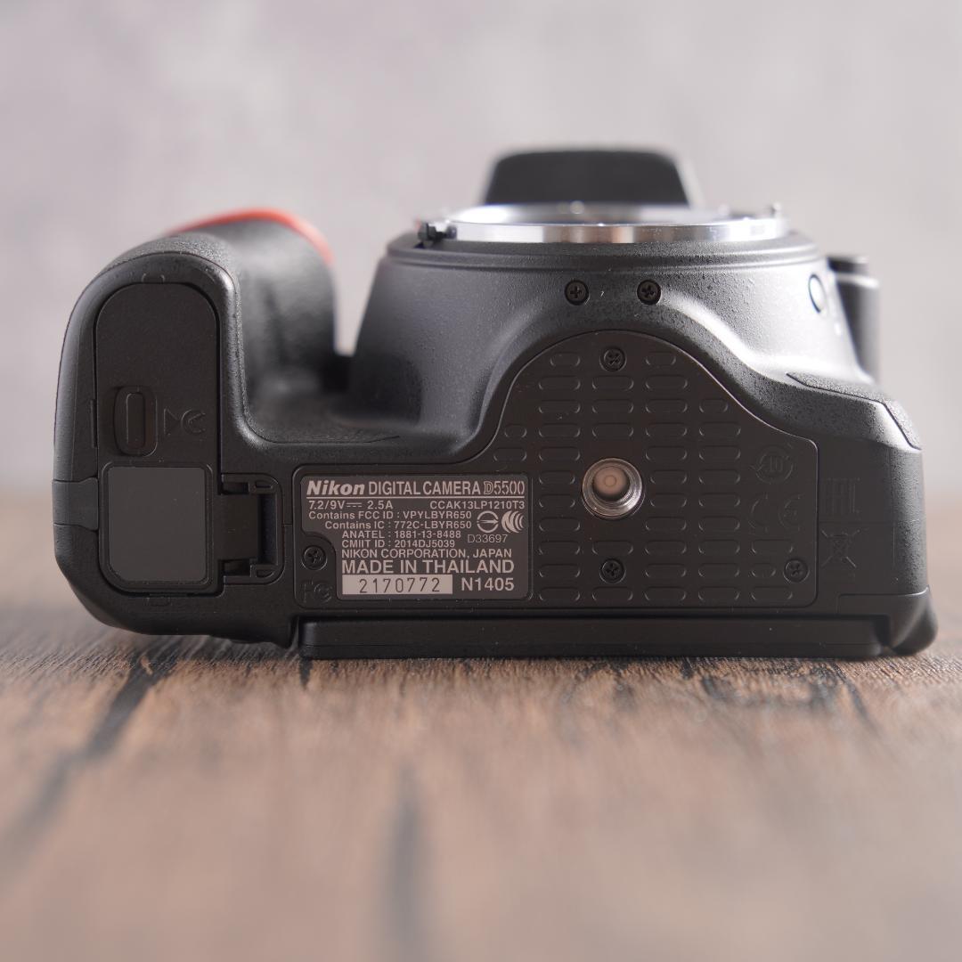 はち　Nikon D5500＋NIKKOR 55-300mm 223-1