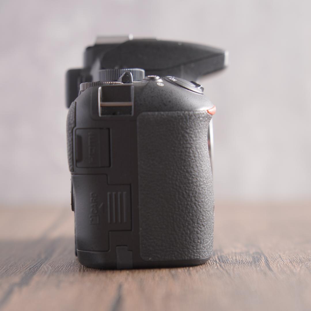 はち　Nikon D5500＋NIKKOR 55-300mm 223-1