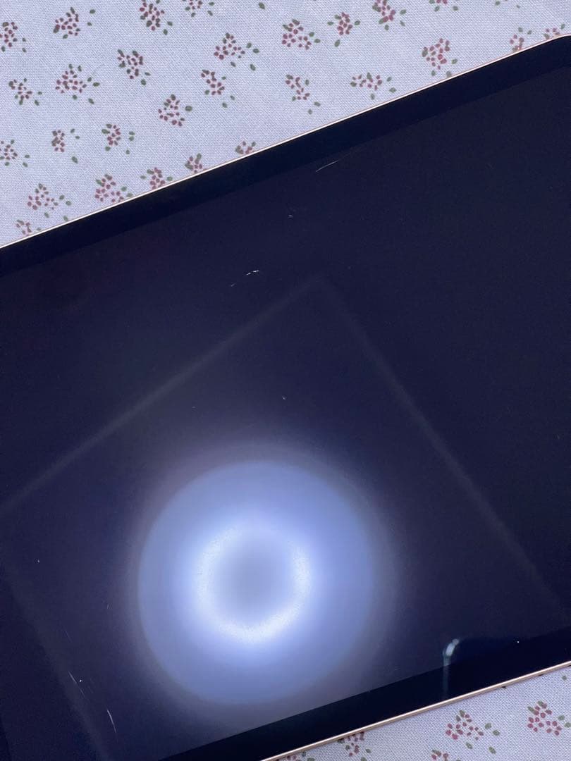 iPad Air 4 (10.9 インチ) 256GB SIM フリー