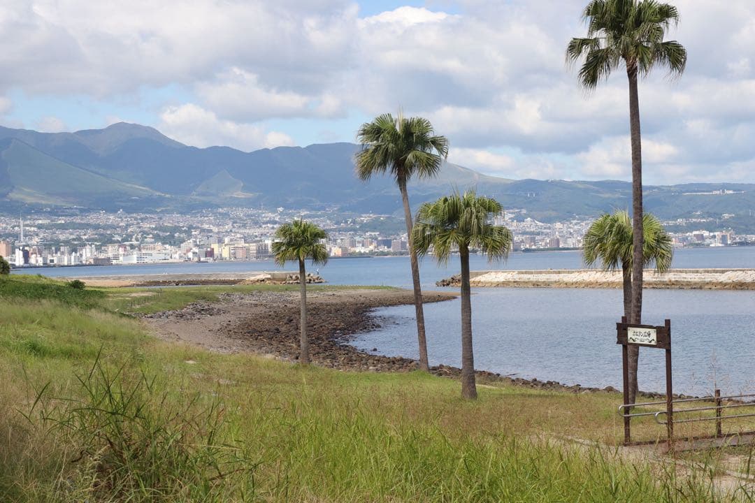 ★ OLYMPUS M-1 (革ケース付) + ★M-SYSTEM 50mm