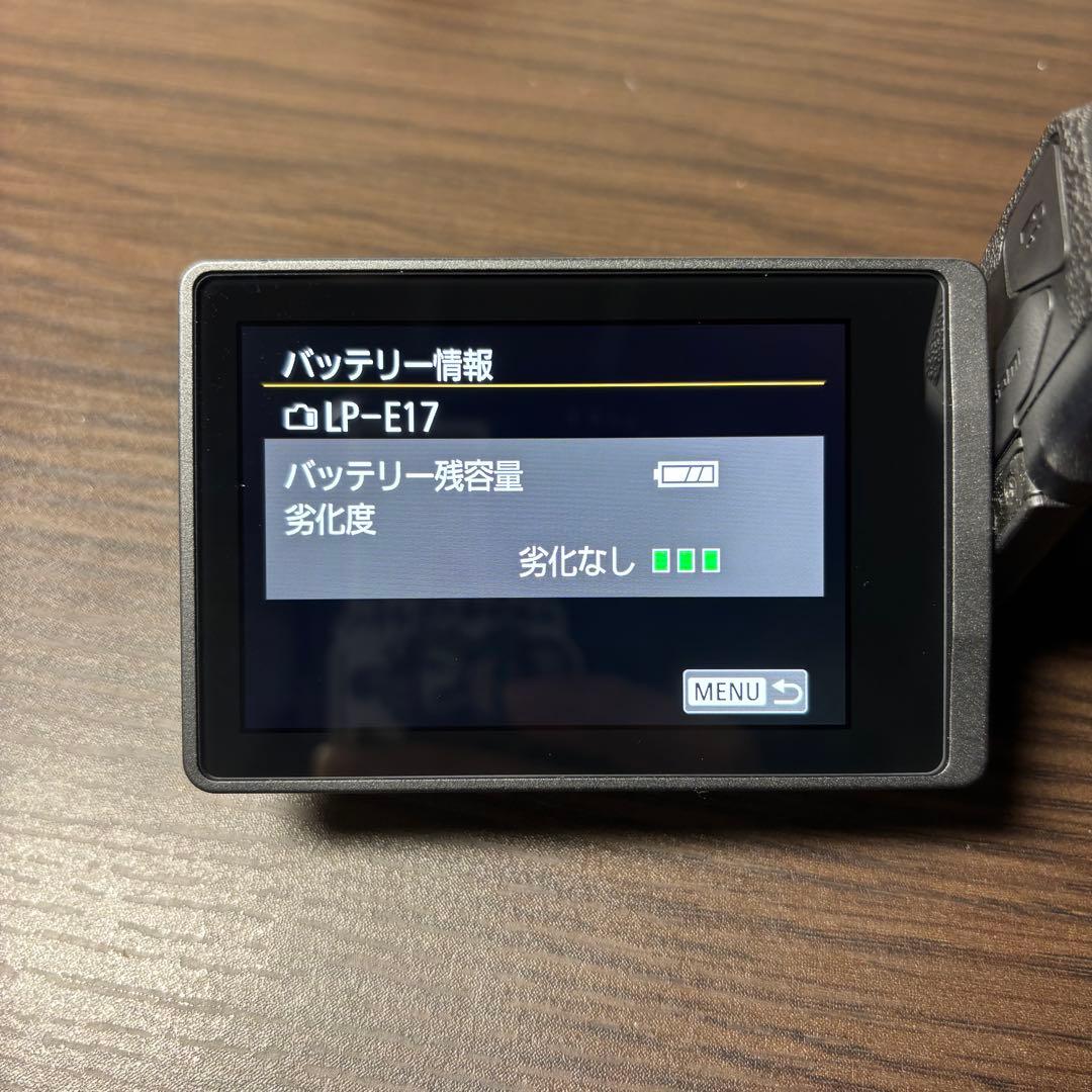 Canon EOS RP (保証付き)