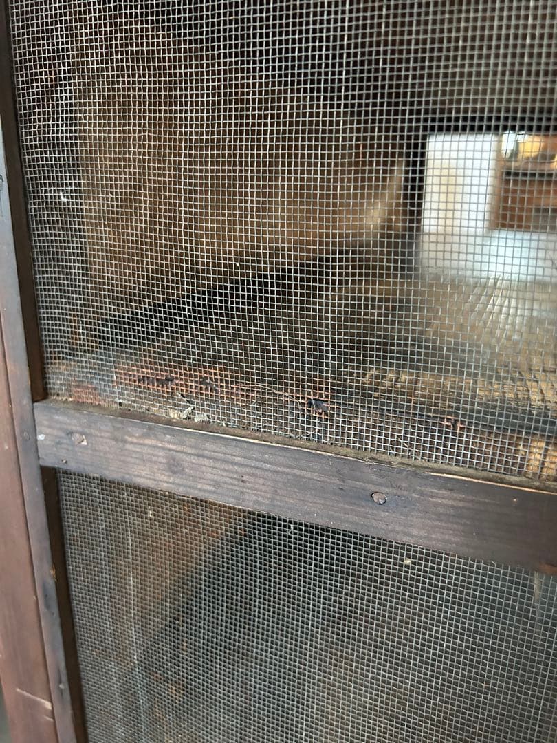 蝿帳食器棚　収納棚　網戸棚　古道具　古家具　昭和レトロ　店舗什器　アンティーク