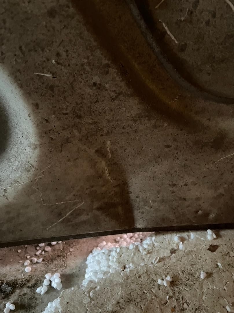 お宝発見希少 スカイライン、ケンメリ、ボンネット、GTR、レストアモール付き