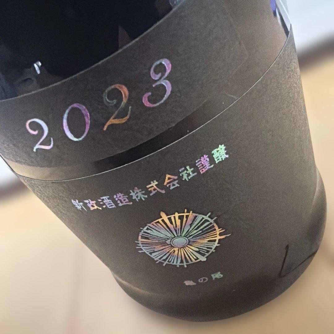 新政　アッシュ　2023