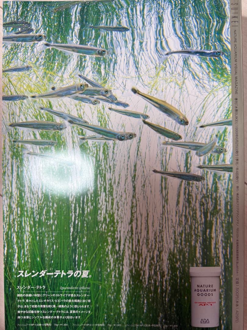 M*o様 SUIKEI nature aquarium visual magaz