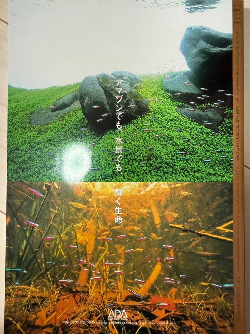 M*o様 SUIKEI nature aquarium visual magaz