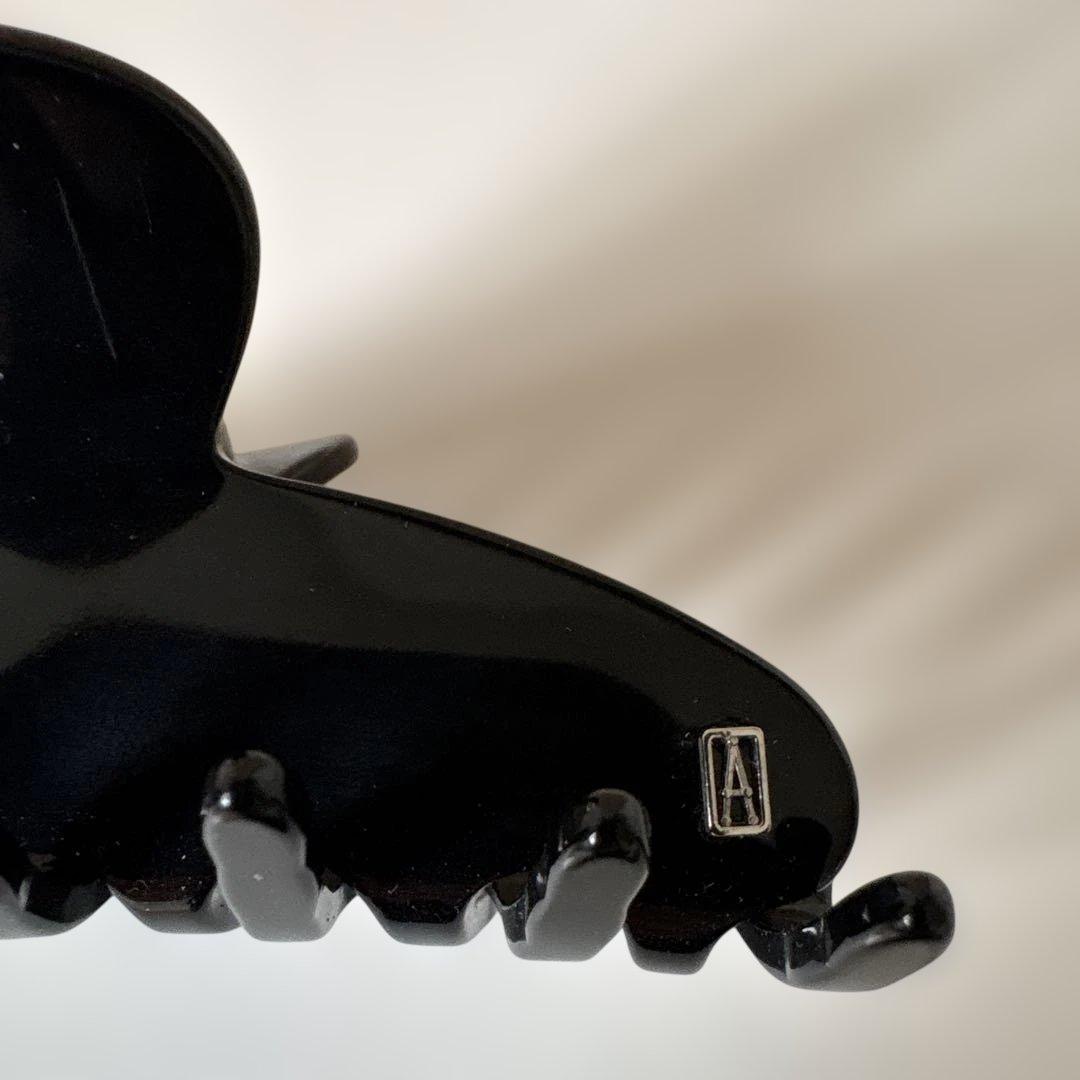 11/3値下！ALEXANDRE DE PARIS M ヘアクリップ