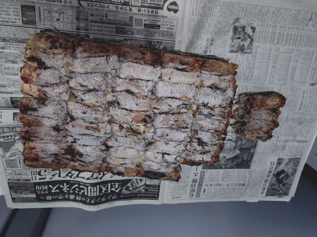 送料無料　訳あり冷凍処理済み親ウズラ200羽 ピンクS10匹冷凍コオロギサービス