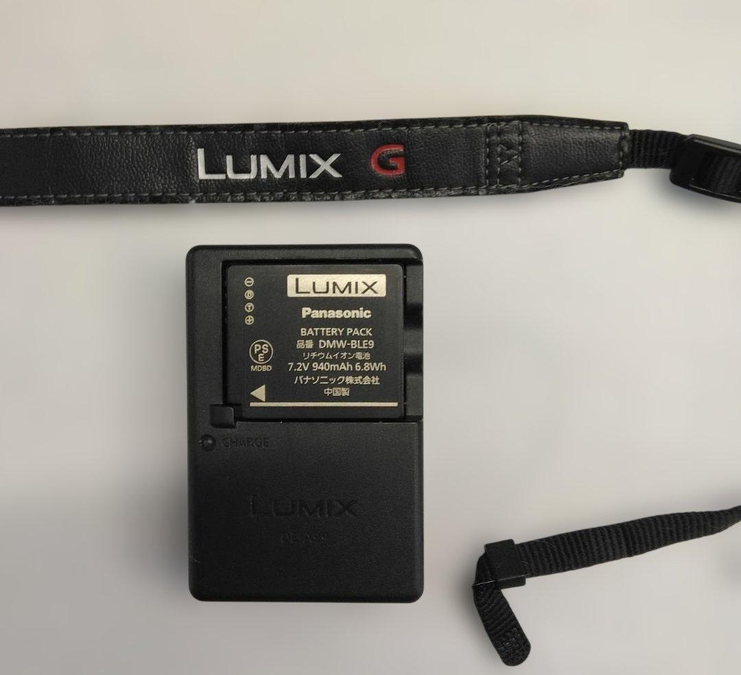 Lumix GF5 カメラ本体+10倍接写レンズ