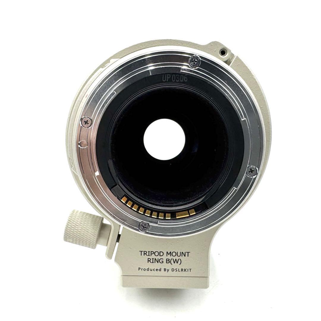 動作良好 CANON EF100-400mm F4.5-5.6L IS USM