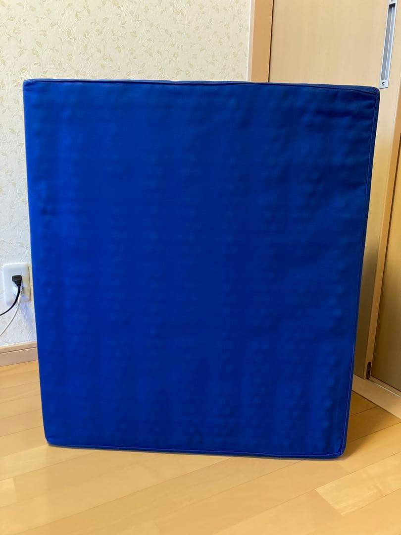 全国健康生活普及会　ヘルスウェーブゴールドNSP マットレス/収納袋/あおたけ