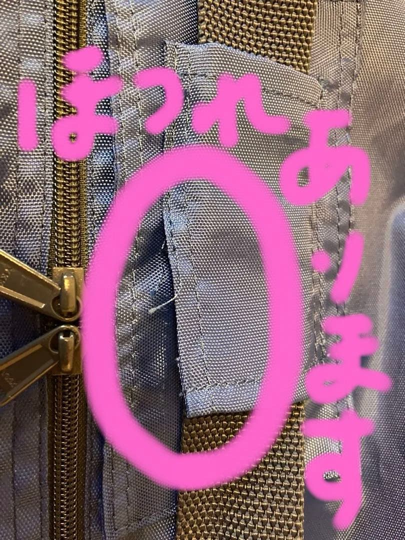 全国健康生活普及会　ヘルスウェーブゴールドNSP マットレス/収納袋/あおたけ