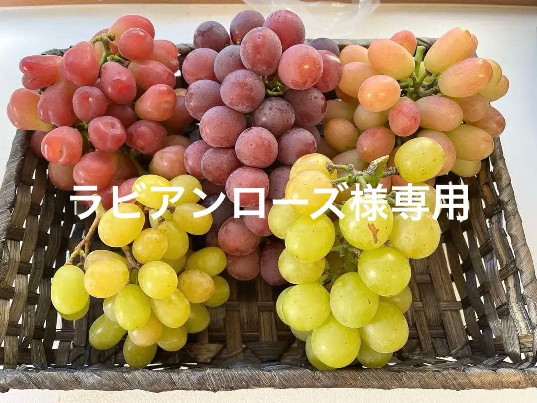 ラビアンローズ