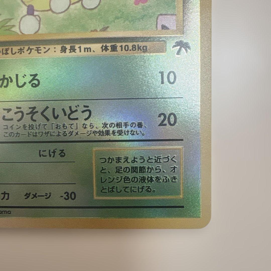 サザンアイランド　お花畑　旧裏ポケモンカード　ポストカードなし