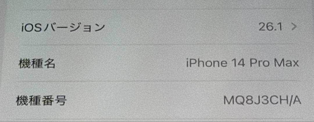 海外版Apple iPhone 14 Pro Max 1024GB