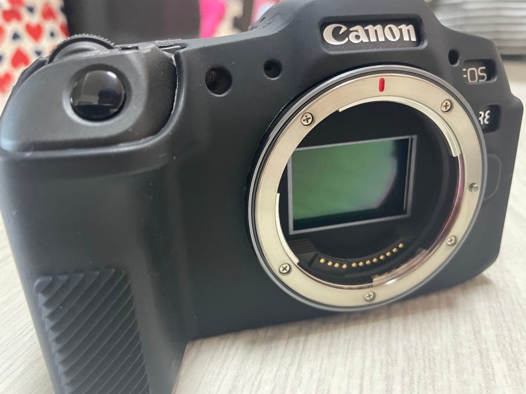 【桜さん専用】Canon EOS R8