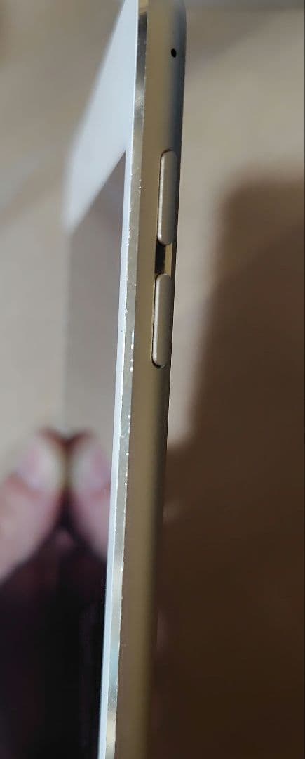 iPadmini 第4世代 Wi-Fi + Cellular au版 ケース付