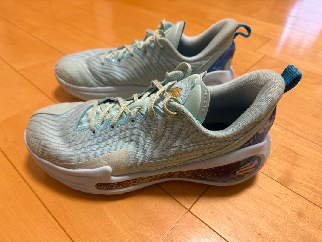 【チェヨンジュン】CURRY カリー12 水色 箱付き 27cm